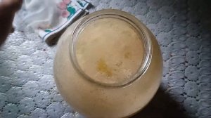 КВАС ИЗ ОСИНОВОЙ КОРЫ ЧУДО НАПИТОК