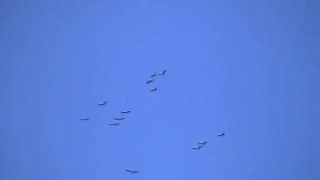 Журавли Юрьевец Осень смотреть онлайн