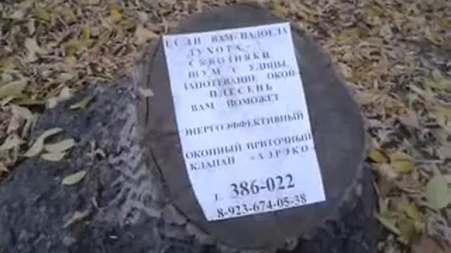 плесень вам поможет смотреть онлайн