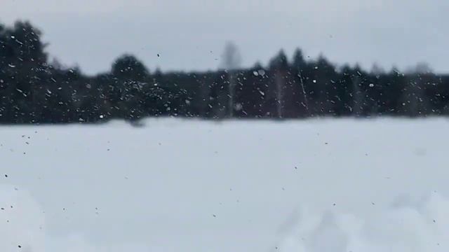 Увидел на обочине дороги табличку населённого пункта, стрелка указывала в сторону леса. смотреть онлайн