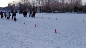Весёлые старты, зимние забавы