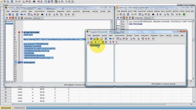 SPSS Video-Seminar # Teil 66 Python 2 смотреть онлайн