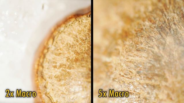 Astrhori 25mm f/2.8 2x-5x Super Macro lens review смотреть онлайн