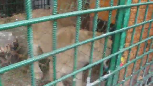 Лола футболистка смотреть онлайн