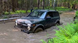 Офф-роуд на Нивах