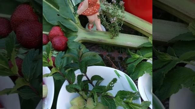 Мастерство Рукоделия