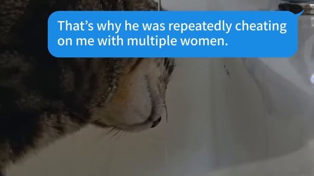 【Apple omnibus】My sister called me a servant in front her fiance, and that ended their relationship смотреть онлайн