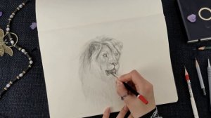 Рисуем портрет льва // Эмоции животных в рисунке