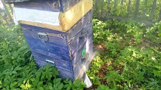 как дела на пасеке... . смотреть онлайн