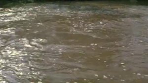 Пропавшая экспедиция 2