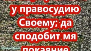 СИЛЬНАЯ МОЛИТВА ОТ СОРОКА СМЕРТЕЛЬНЫХ БОЛЕЗНЕЙ,ОТ КОТОРЫХ НИ ОДИН ДОКТОР НЕ ВЫЛЕЧИТ.✝☦