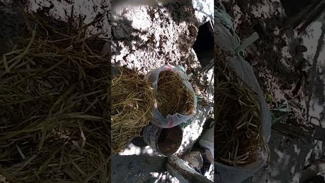 Кирпичи из глины и соломы(3) смотреть онлайн