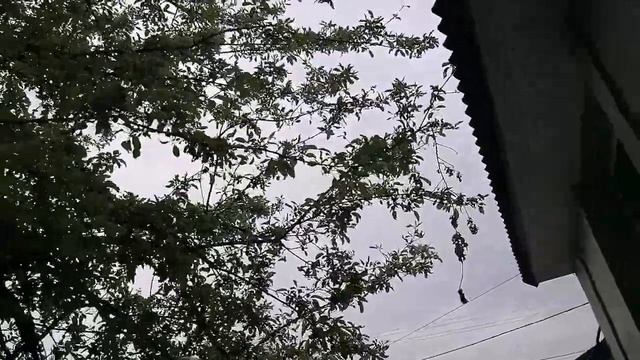 Мой завтрак и снова работа, красивое пение птиц, дождик не дал поработать. смотреть онлайн