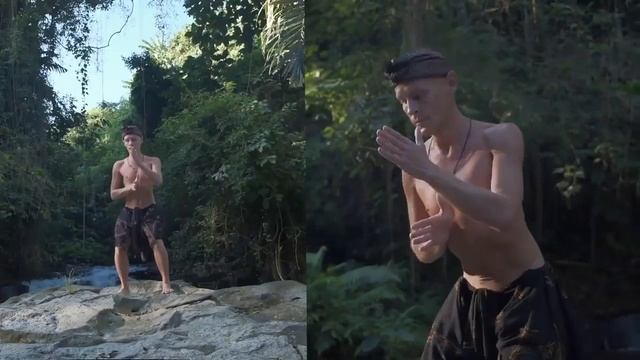 ЭВОЛЮЦИОННЫЙ ЦИГУН: БАЗОВЫЕ ФОРМЫ - Грандмастер Ян Спартак Поединков смотреть онлайн