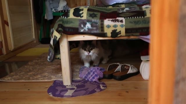 Влог 16.06.20 Мой самый страшный сон про беременность 0_о смотреть онлайн