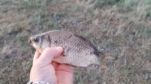 Рыбалка на реке «Ачаирка» в Омской области