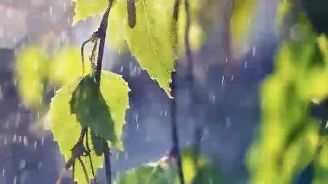 Уходят друзья.Трогательная светлая песня! смотреть онлайн