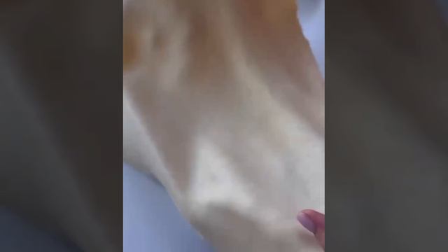 Рецепты на каждый день