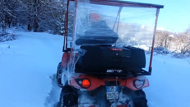 Arctic cat смотреть онлайн