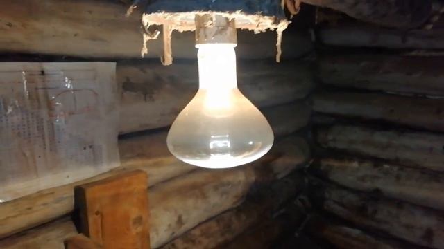 Поросята породы Дюрок в 2 месяца. Как обогреваем свинарник в зимнее время года. Свиноводство. смотреть онлайн