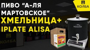 Подойдёт ли к Хмельнице Basis плита Iplate Alisa?