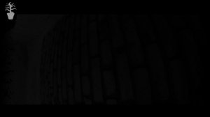 ПАВЛИК 3 сезон 13 серия