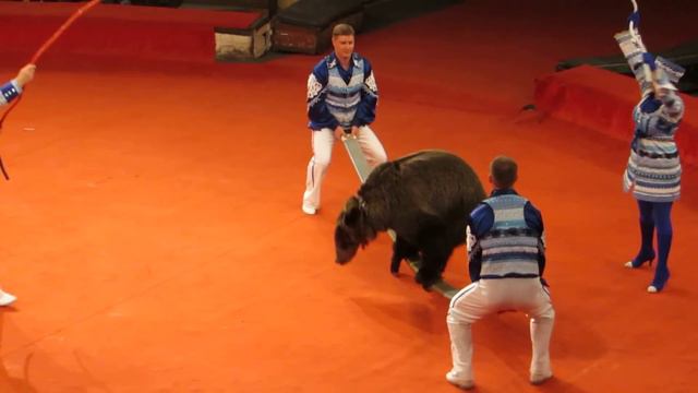 MVI_1058 смотреть онлайн