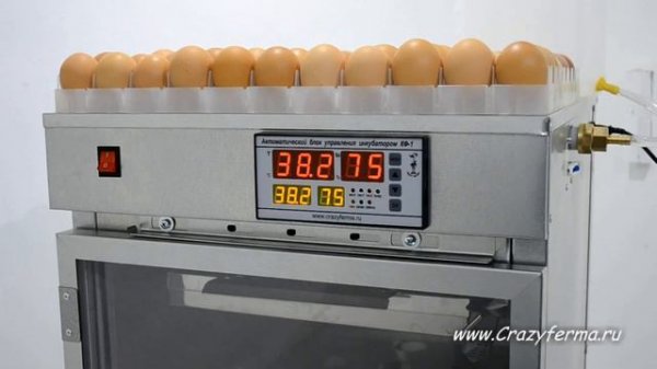 Инкубатор выводной АИ-192 от CrazyFerma