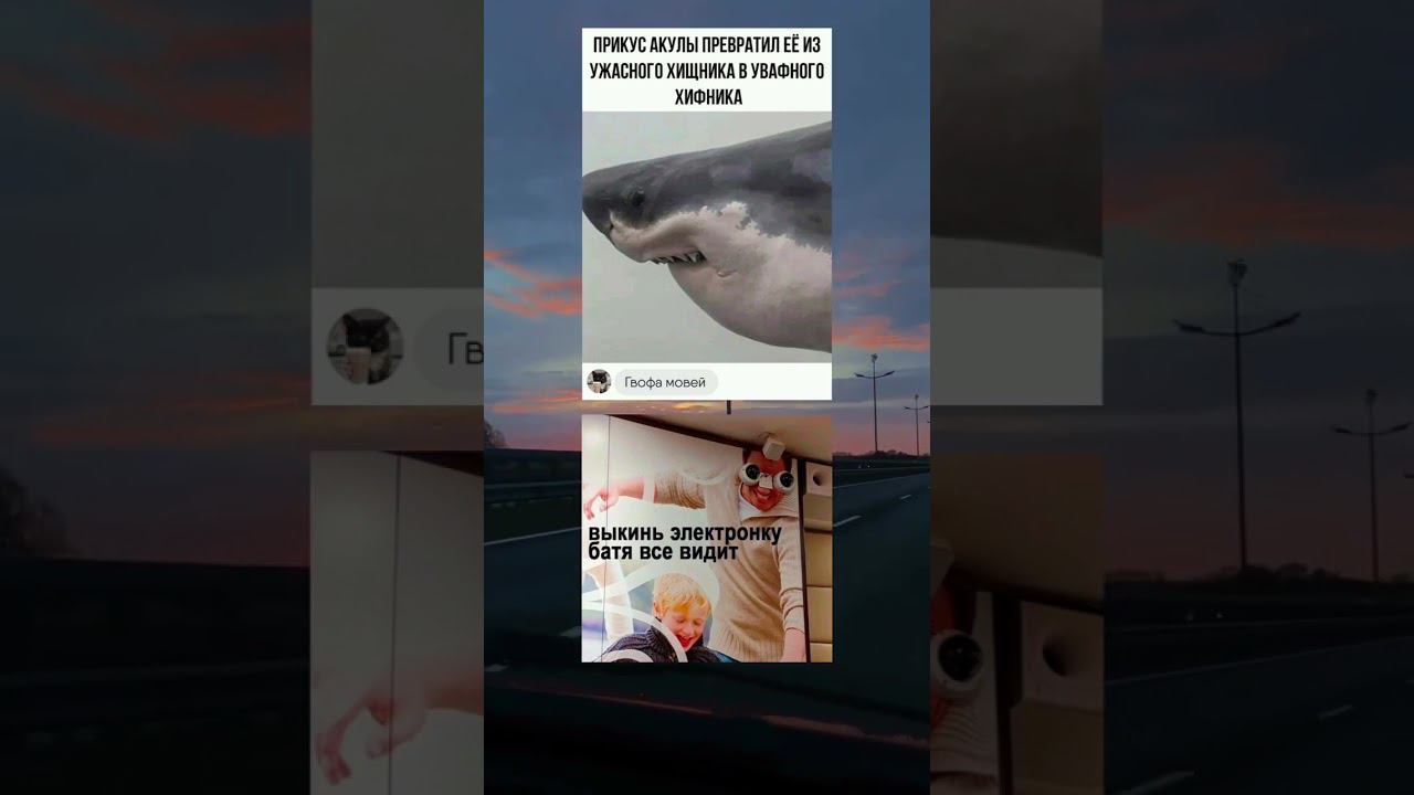 акула#мем
