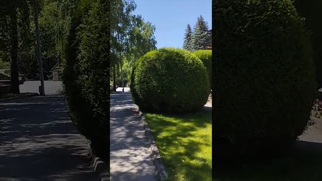 Кисловодск санаторий без звезд "Москва" смотреть онлайн