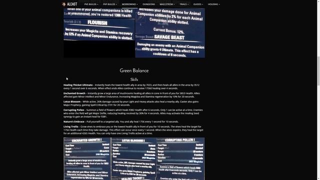 New Warden Skill-Lines Analysis Elder Scrolls Online смотреть онлайн