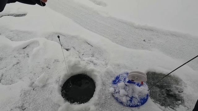 Открытие сезона ТВЁРДОЙ ВОДЫ! Рыбалка на ЖЕРЛИЦЫ! смотреть онлайн