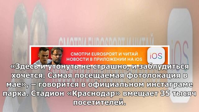 У стадиона «Краснодара» сиреневым морем расцвел шалфей. Это самая популярная фотолокация в городе смотреть онлайн