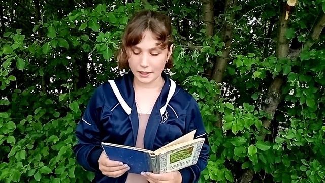 Природа Томской области. Горностай. Ласка. Росомаха. смотреть онлайн