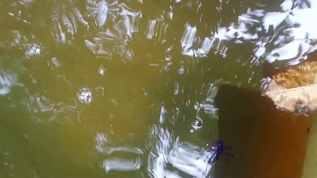 плавающий силикон смотреть онлайн