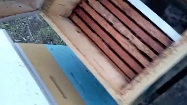 Зимівля бжол , ой лішенько пропали бжоли! смотреть онлайн