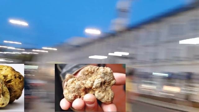 VLOG. Год каналу. Итоги. Продукты из магазина. Блюда из ресторана. Трюфели. смотреть онлайн