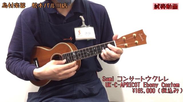 【試奏動画】Sumi UK-C-APRICOT Ebony Custom【信州産/和材あんず単板/コンサート】 смотреть онлайн