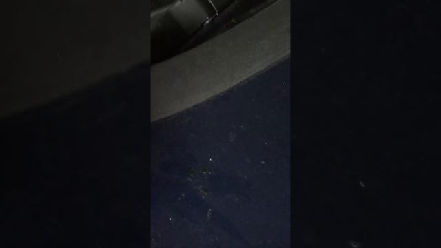 Оттираем тополиные почки с авто за 5 секунд смотреть онлайн