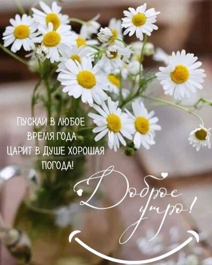 ланч 17.06 смотреть онлайн