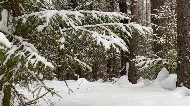 СЫНОК, ТЫ СО МНОЙ?... | Истории из жизни. смотреть онлайн