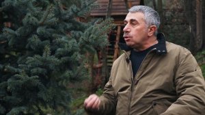 Как можно вылечить аденоидит? | Доктор Комаровский