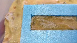 Нематода. Содержание. Разведение. Кормление малька.