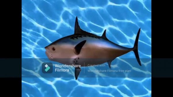 spongebob christmas who with it's a spongebob christmas vocals