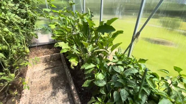 Нам подарили Цветы / Отдых на Даче / Шашлык / Дача в Германии смотреть онлайн