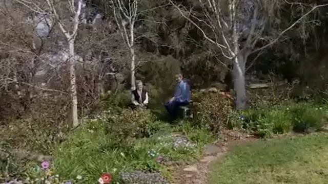 A Spring Stunner Fact Sheets Gardening Australia смотреть онлайн