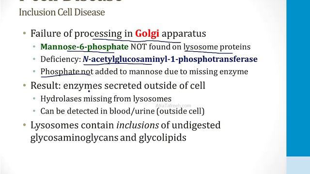 Cell Biology - 3. Cellular Biology - 2.Cell Structure Atf