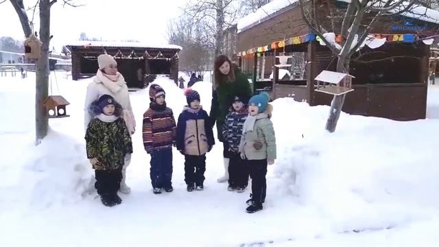 Акция: Покормите птиц зимой смотреть онлайн