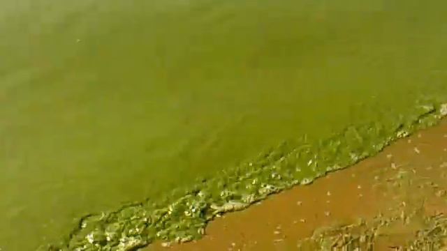 Зеленая вода на "Минском море" смотреть онлайн