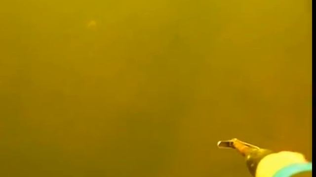 Съемка под водой. Подводная охота. Судак. смотреть онлайн